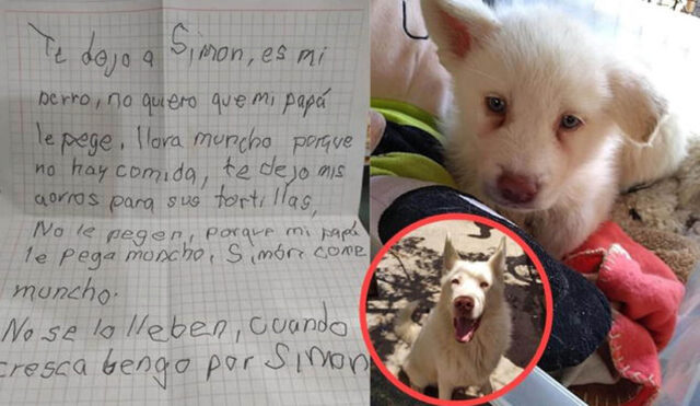 Un ragazzino ha lasciato il suo cane in un rifugio perché suo padre lo picchiava e non gli dava da mangiare