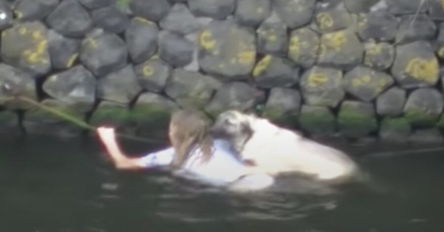 ragazza salva il suo cane caduto in mare