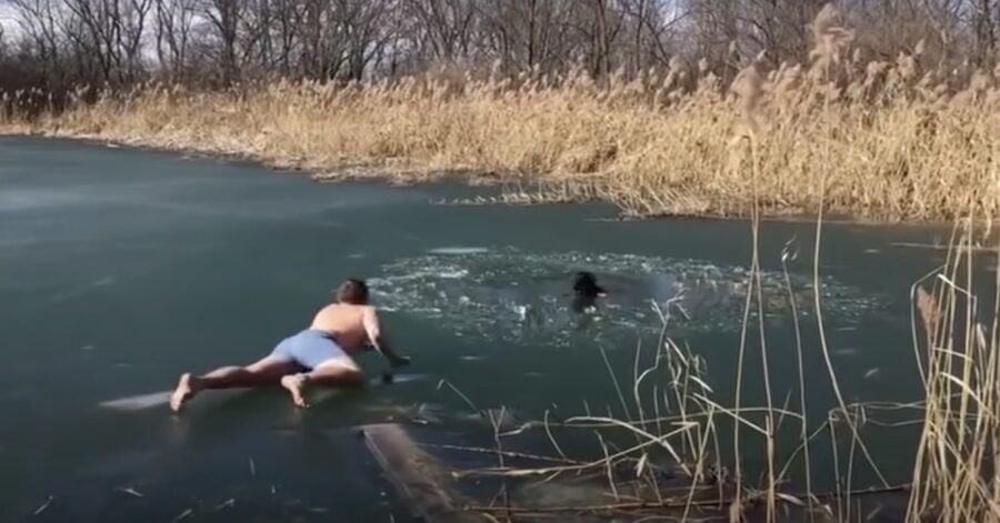 giovane in mutande salva cane dal ghiaccio