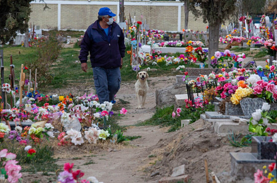 cane con guardiano del cimitero