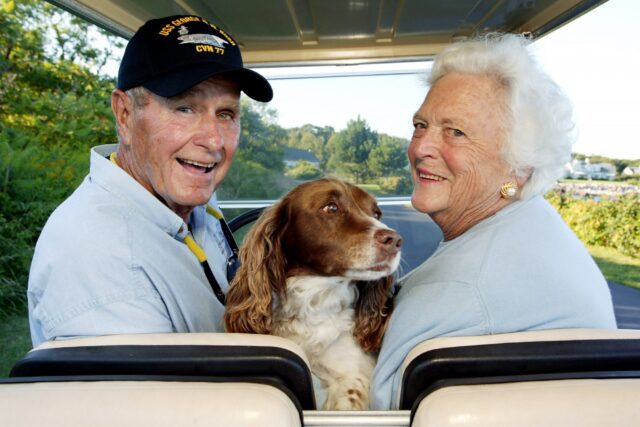 Millie, la cucciola di English Springer Spaniel del Presidente Bush (VIDEO)