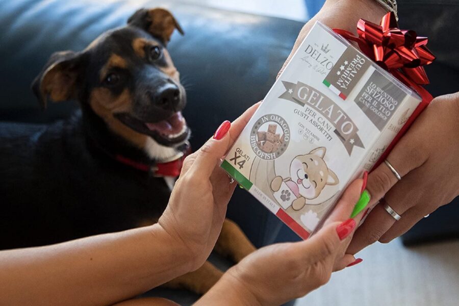 gelato per il cane