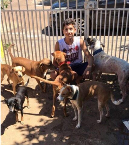 Cuccioli di cane salvati da un ragazzo di soli 17 anni