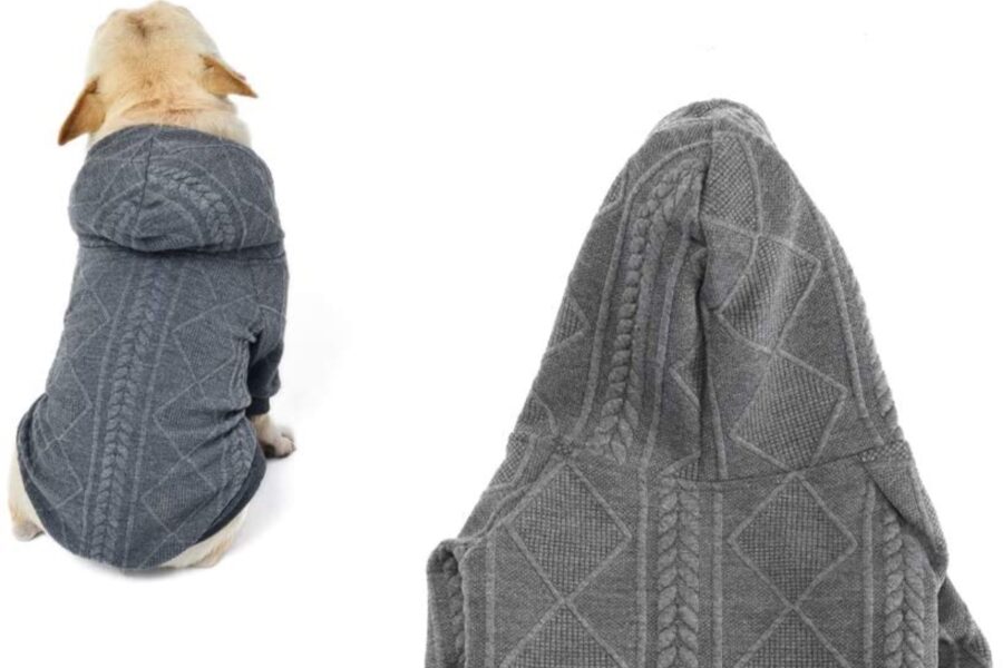 maglione con cappuccio per il cane