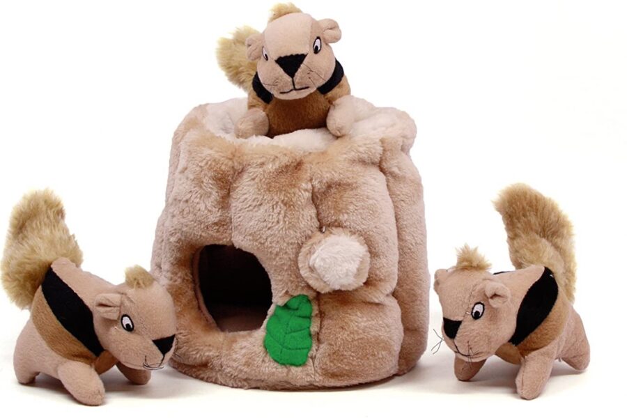 scoiattoli di peluche per cani