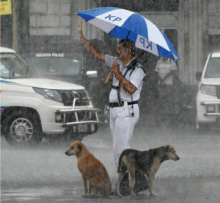 agente ripara cani dalla pioggia