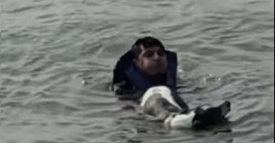 Gabe Castellanos salva cane che sta annegando