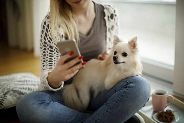 Rendere il cane famoso sui social: dritte e consigli per far brillare Fido