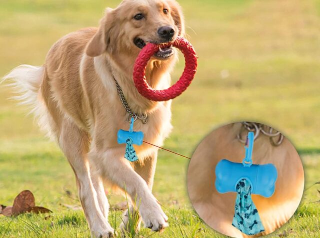 5 sacchetti per i bisogni del cucciolo di cane, i modelli migliori