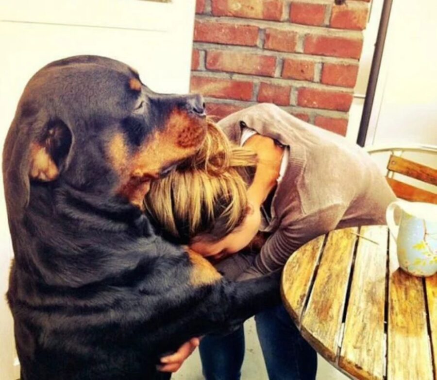 cane mamma abbraccio