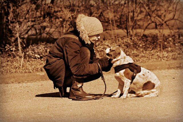 6 foto di cani che dimostrano quanto è grande il loro amore nei nostri confronti