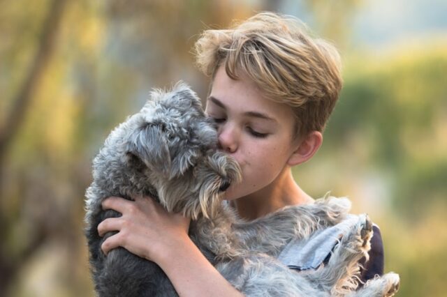 6 foto di cani uniti da un rapporto speciale con i loro fratellini umani