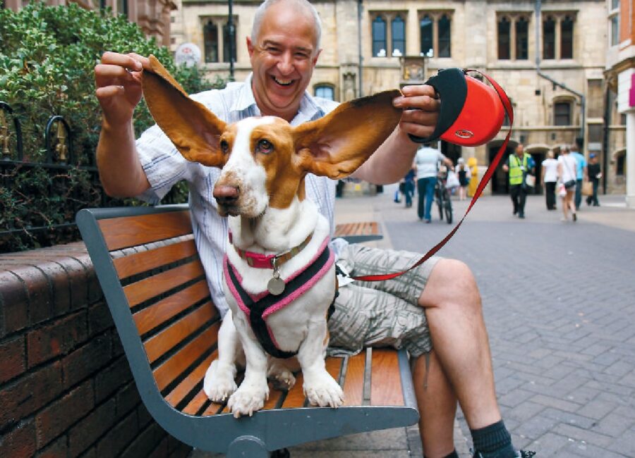 cane crecchie tanto grandi