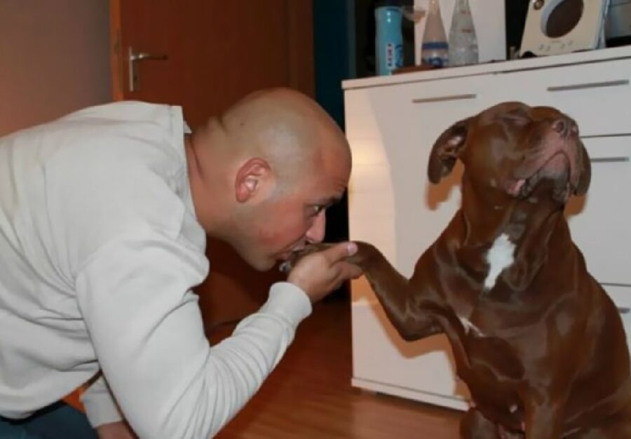 cucciolo di cane baciamano