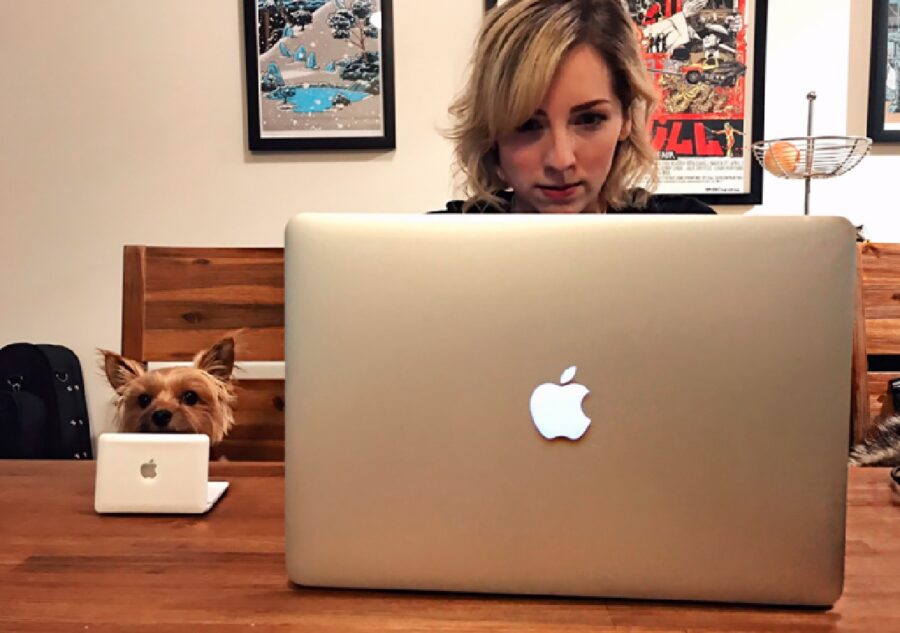 cane con piccolo laptop