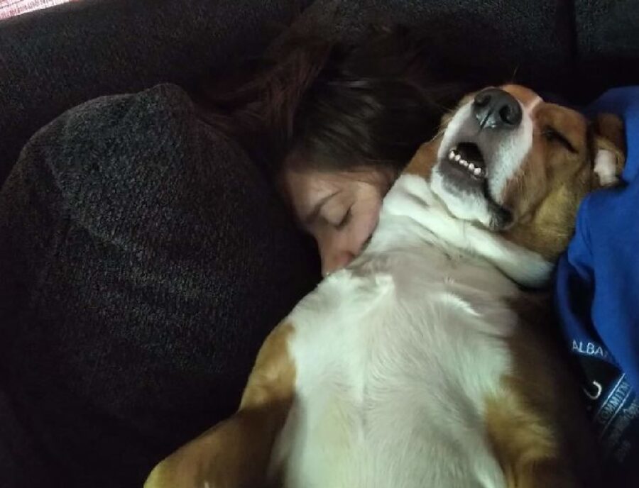 cane dorme su corpo donna
