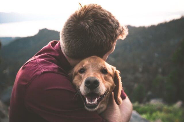 Come capire se sei pronto per un cane: i segnali