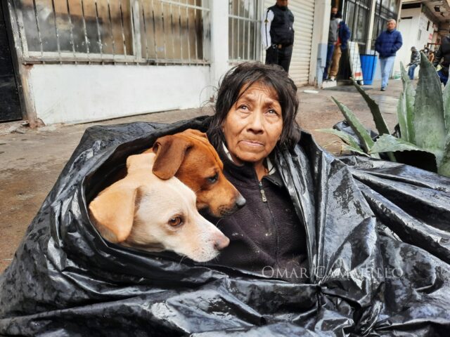 La senzatetto Chole non abbandona mai i suoi cani