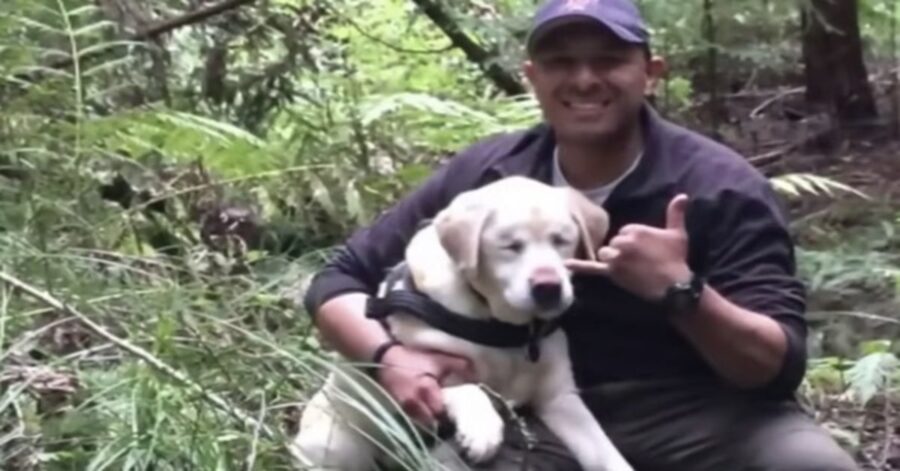 Pompiere ritrova un Labrador perso nel bosco