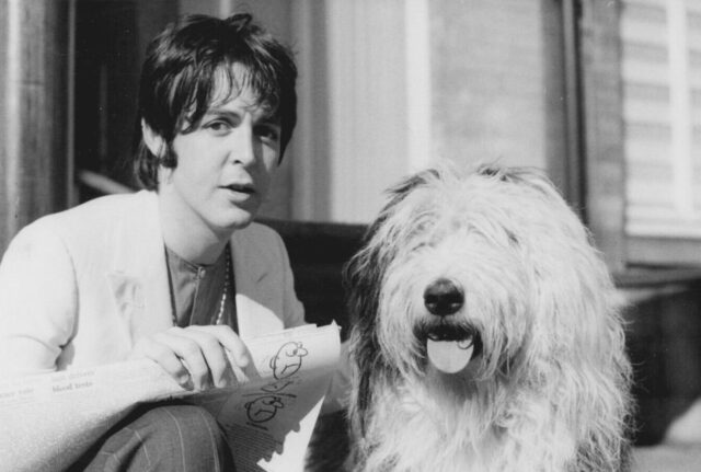 Martha la cucciola di Bobtail  era la cagnolona di Paul McCartney