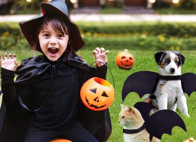 5 accessori di Halloween per cani, i più belli per Fido