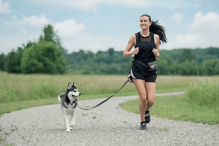 cintura da jogging per il cane