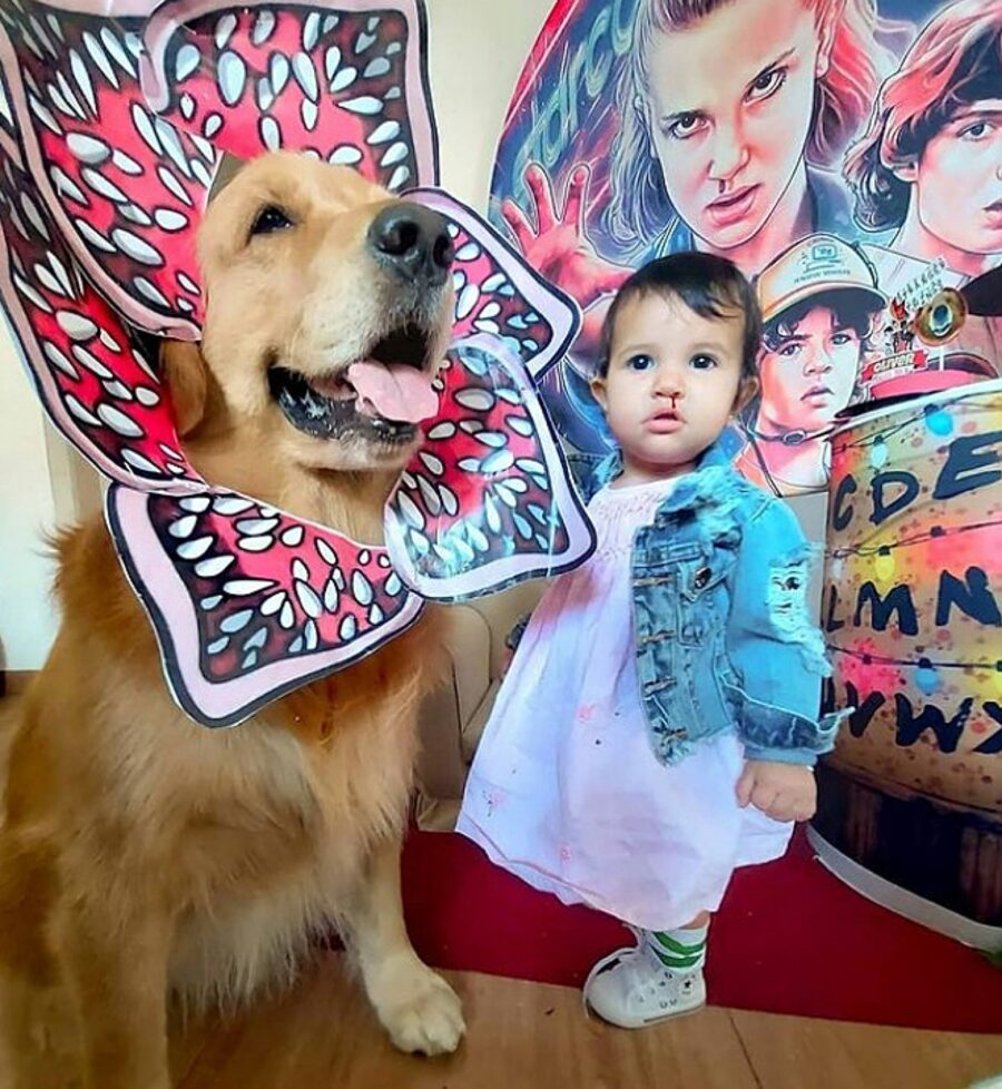 bambina e cane travestiti