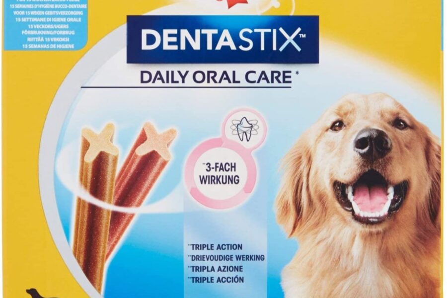 stecche per denti del cane