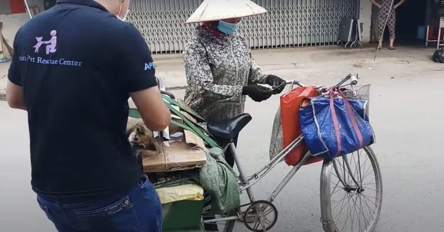 salvataggio di un cane destinato a essere mangiato