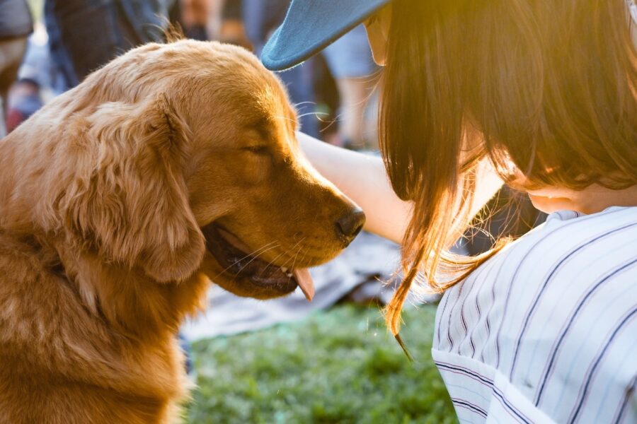 cane e proprietaria