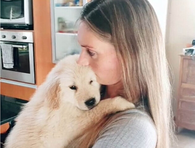 Il cucciolo di cane si emoziona tantissimo quando la proprietaria gli permette di dormire con lei sul letto