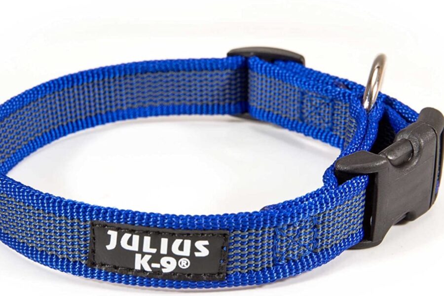 Julius k-9 collare per cani