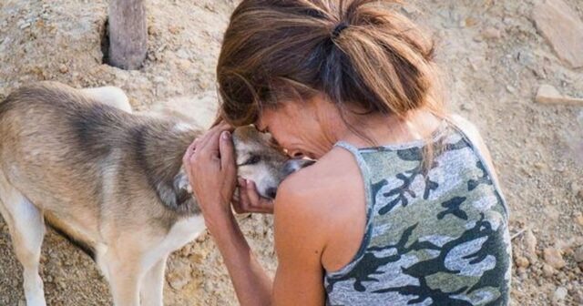 Cuccioli di cane disabili e non disabili hanno una nuova vita