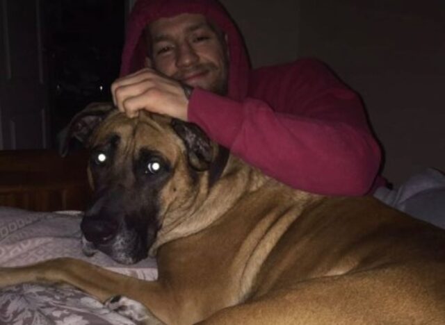 Cucciolo di cane Hugo è morto. Lutto per l’artista di arti marziali
