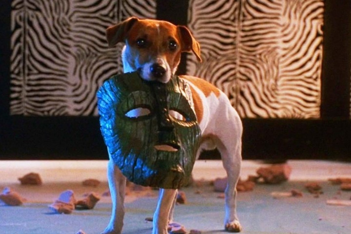 Max cucciolo di Jack Russel Terrier è Milo nel film "The Mask"(VIDEO)