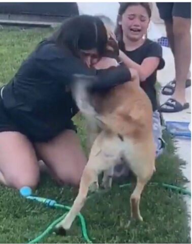 Cucciolo di cane torna a casa dopo tanto tempo, la padrona in lacrime