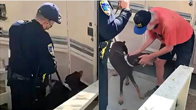 L’uomo si emoziona fino alle lacrime quando la polizia gli riconsegna il suo cane smarrito da giorni