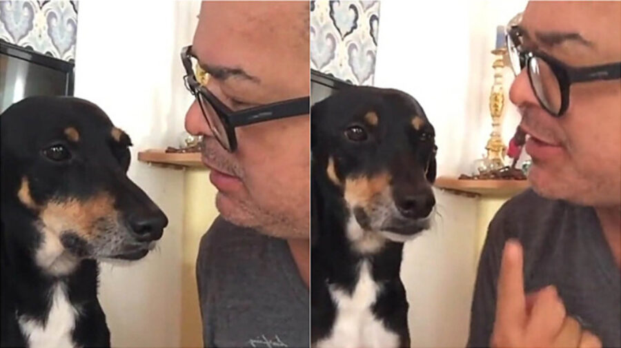 proprietario parla con il suo cane