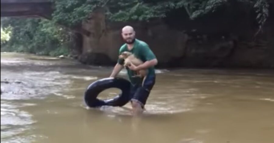 uomo salva cane che sta affogando