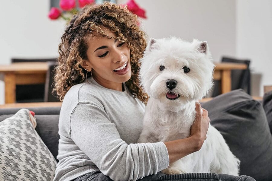 ragazza e cane