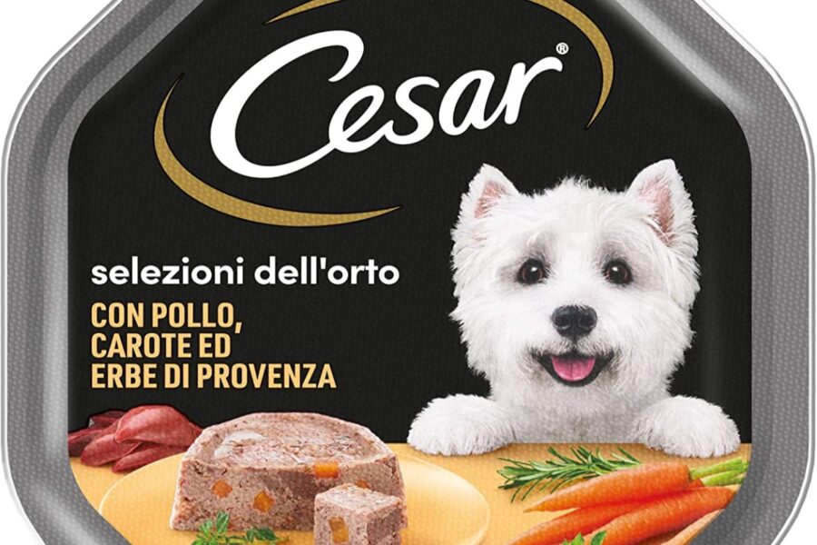 cibo per cani cesar