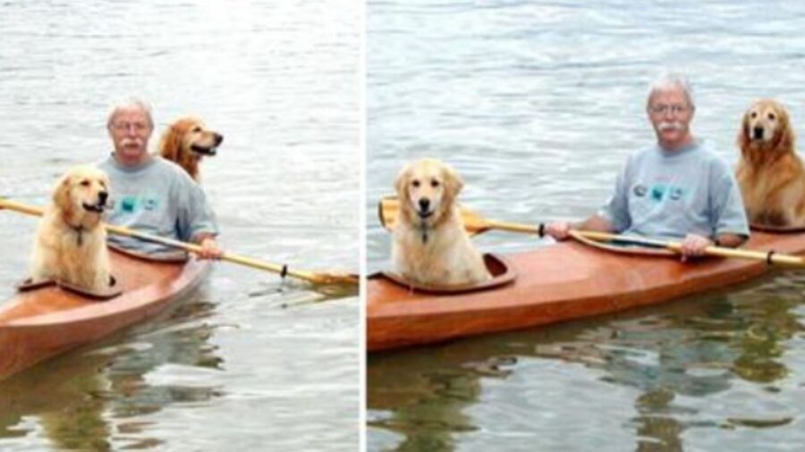 Cani su kayak personalizzato