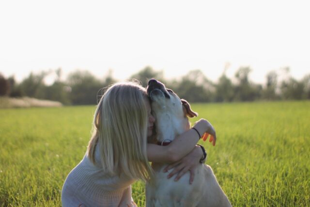 4 consigli per rendere il tuo cane sicuro per i bambini