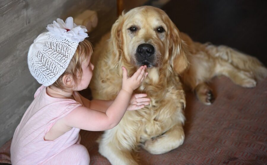 cane con bimba