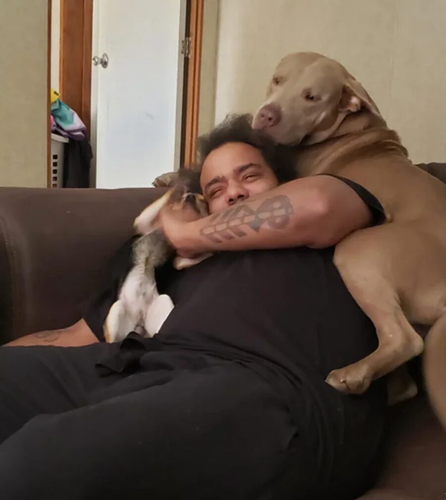 cane abbraccio papà