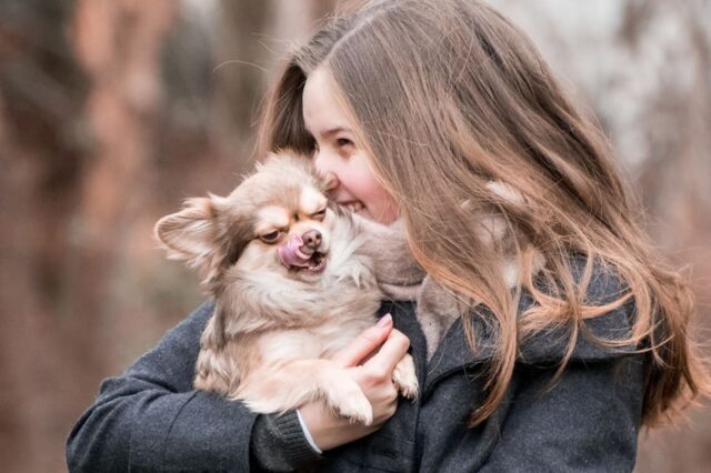 6 foto che dimostrano quanto i cani ci tengono a noi