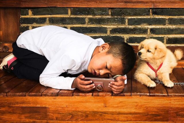 6 foto di cani che raccontano delle storie a dir poco toccanti