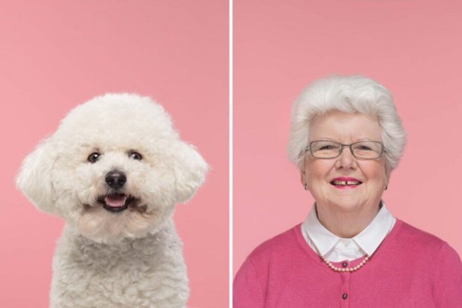 cane nonna uguali