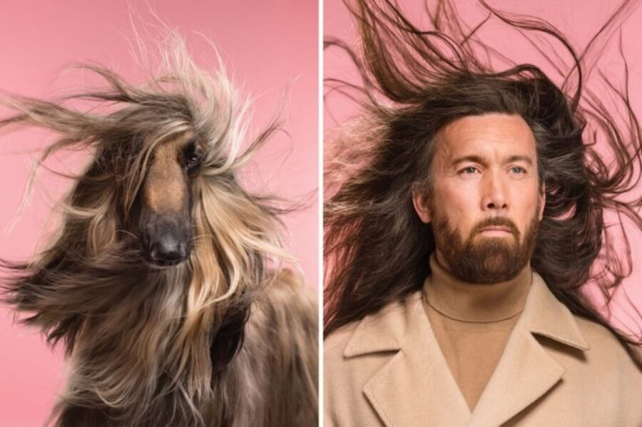 cane capelli papà