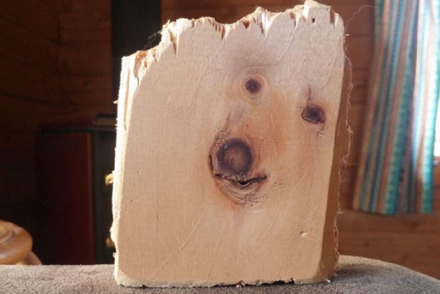 cane figura su legno